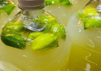 Limonadas para Eventos en Puerto Rico